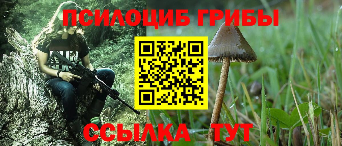 Мирный  Псилоцибиновые грибы мухоморы  Вход с VPN  Псилоцибиновые грибы ЛСД 